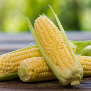 Grow Your Own Sweetcorn in the Summer Image